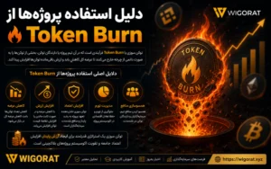 دلیل استفاده پروژه ها از توکن سوزی