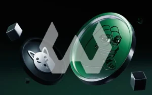 میم کوین چیست آموزش برای مبتدی ها