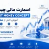 اسمارت مانی چیست