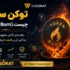 توکن سوزی چیست؟